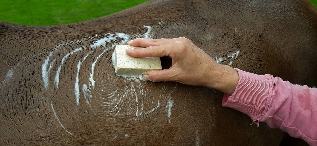 Paardenzeep testen